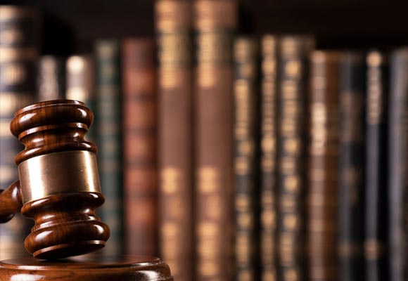 عکس از گالری